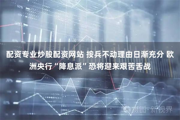 配资专业炒股配资网站 按兵不动理由日渐充分 欧洲央行“降息派”恐将迎来艰苦舌战